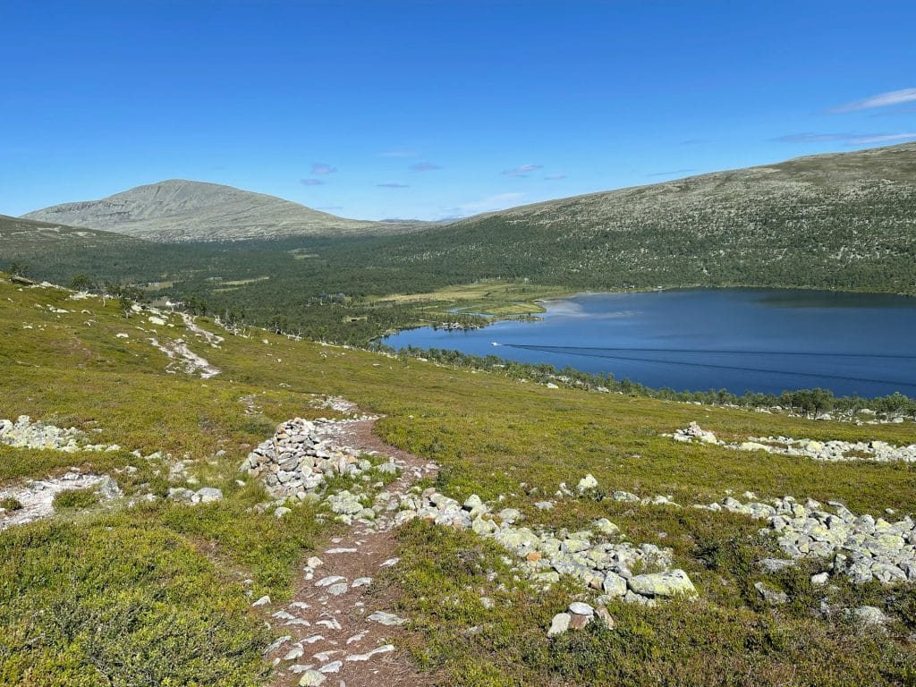 emil priver wugrbCUizCI unsplash