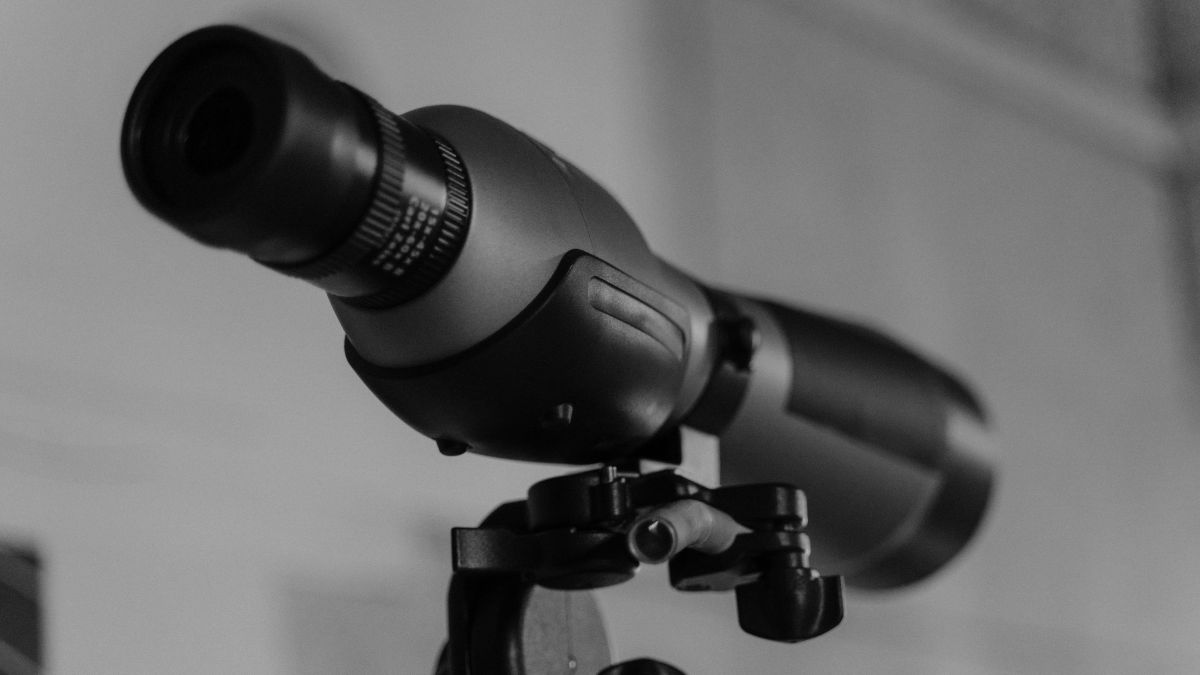 Kikkertsikte - Best i Test