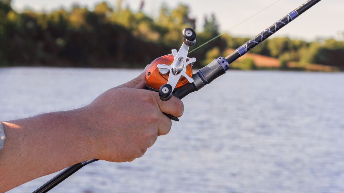 Multiplikator snelle - Best i Test