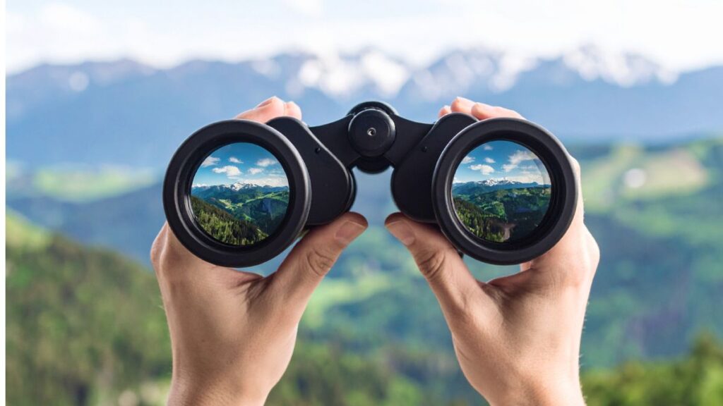 Kikkert Test – beste kikkerter i 2025