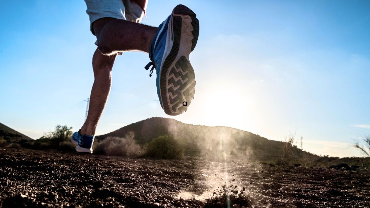 treningssko - Best i Test